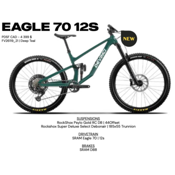 Devinci Troy Eagle 70