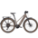 Trek FX+ 2 Midstep