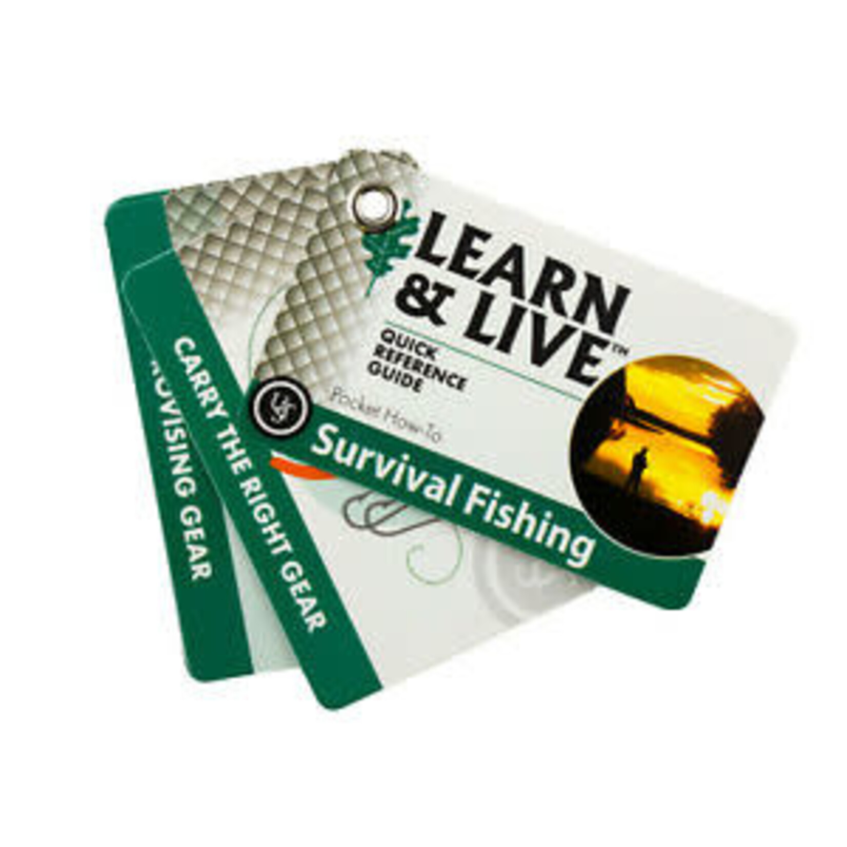 UST UST LEARN & LIVE CARDS