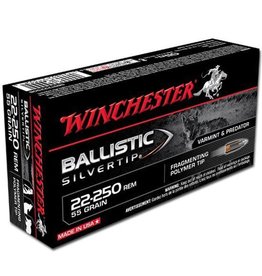 WINCHESTER WIN BALLISTIC SILVERTIP