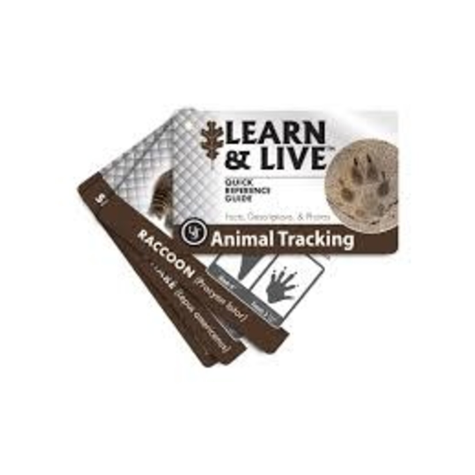 UST UST LEARN & LIVE CARDS