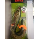 RAPALA RAP X-RAP OTUS SCALED ROACH #25