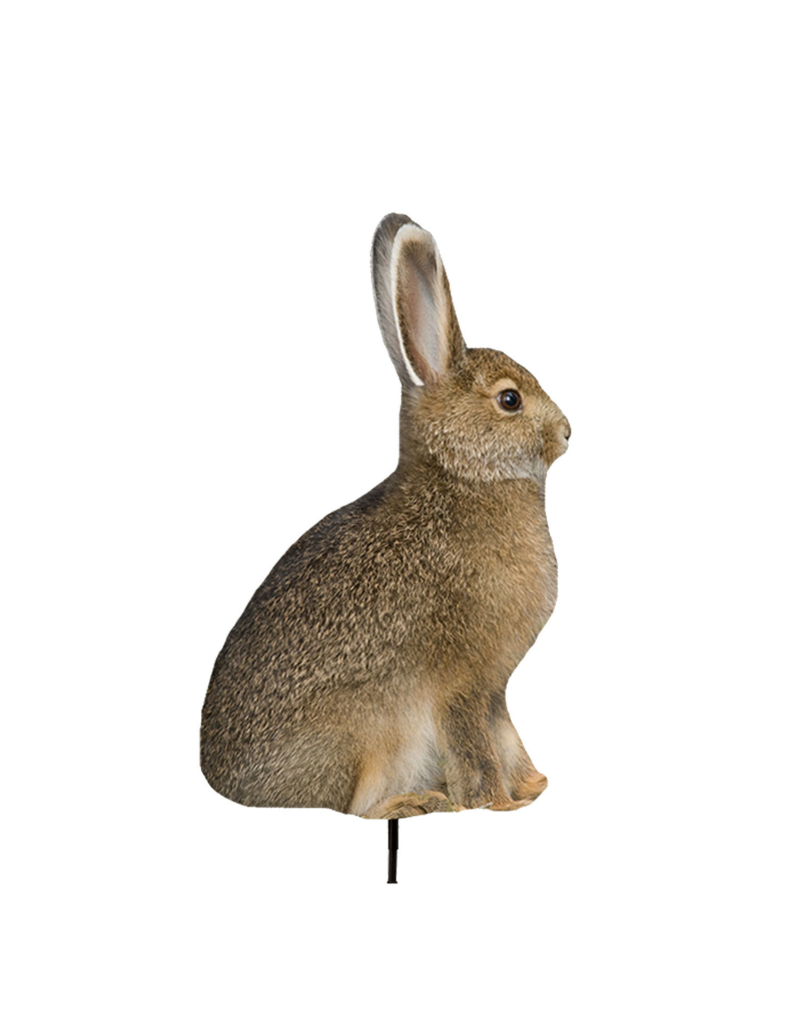 MONTANA DECOY MD "MISS HOPTOBER" RABBIT DECOY