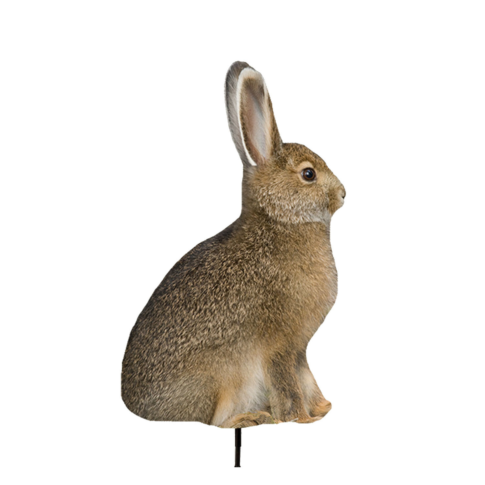 MONTANA DECOY MD "MISS HOPTOBER" RABBIT DECOY