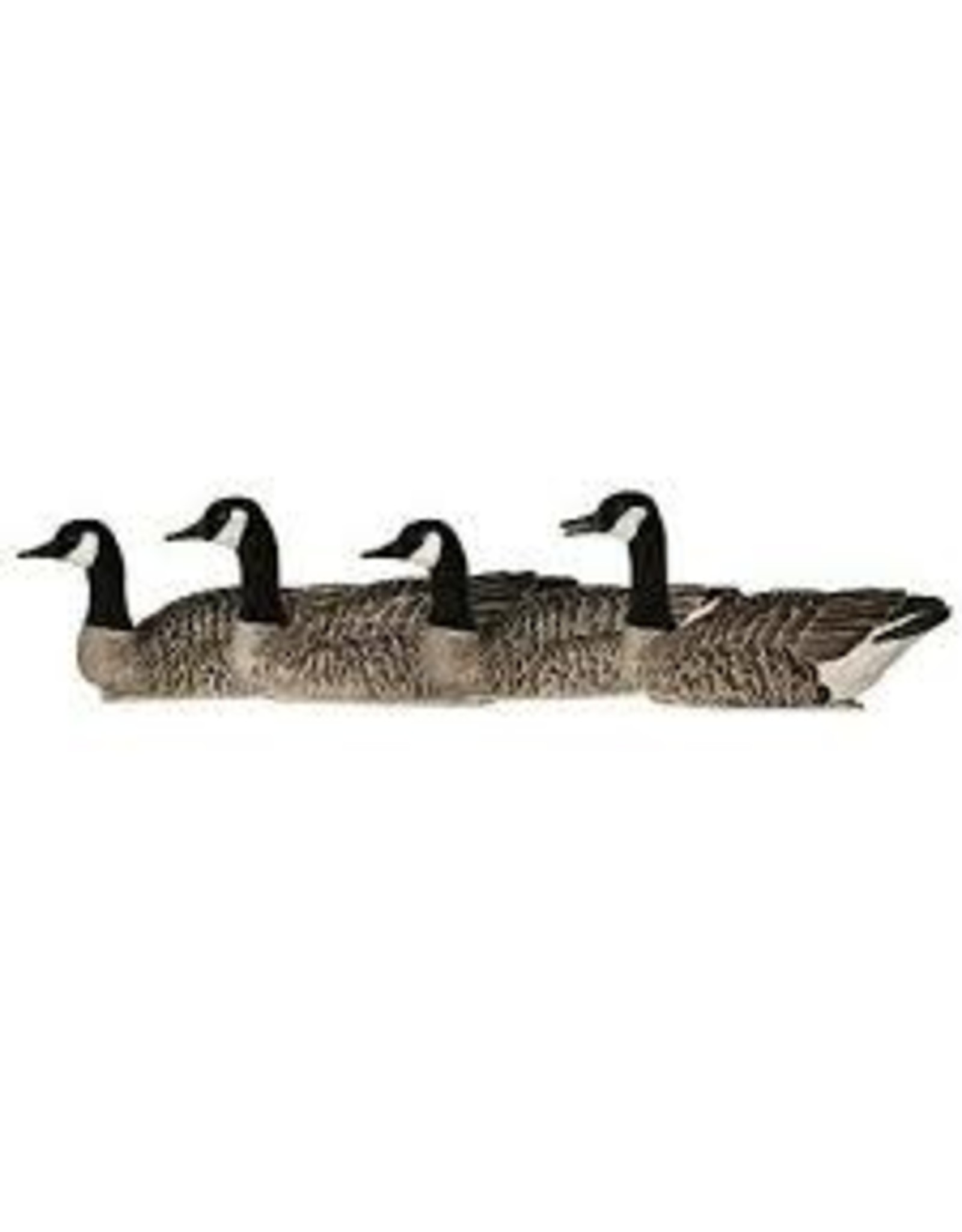 AVIAN-X AVX TOPFLIGHT HONKERS GOOSE WEIGHTED DECOY 4PK