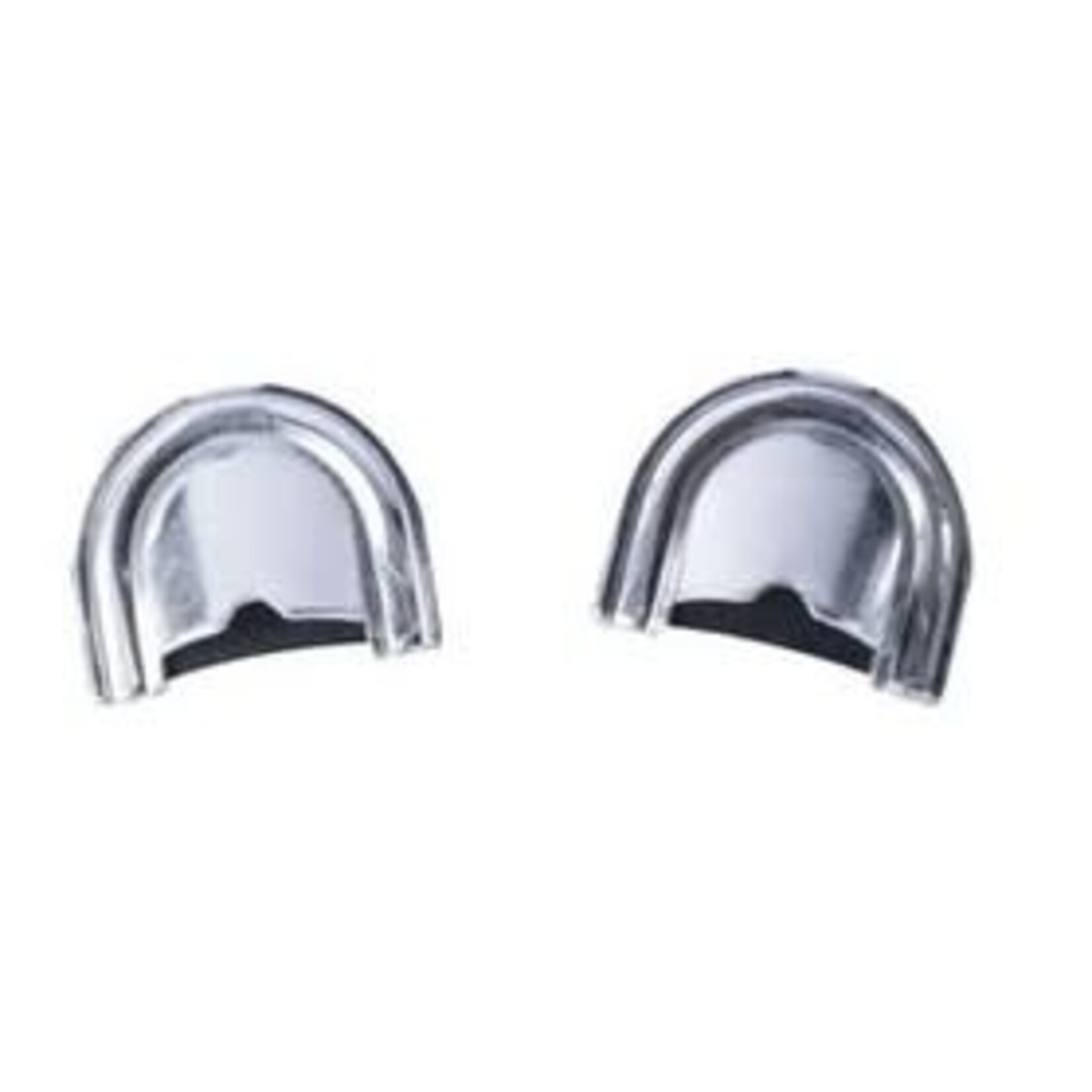 PHELPS PHELPS EZ-BUGLER REPLACEMENT AMP REED 2PK