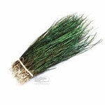HOOK & HACKLE HH PEACOCK HERL