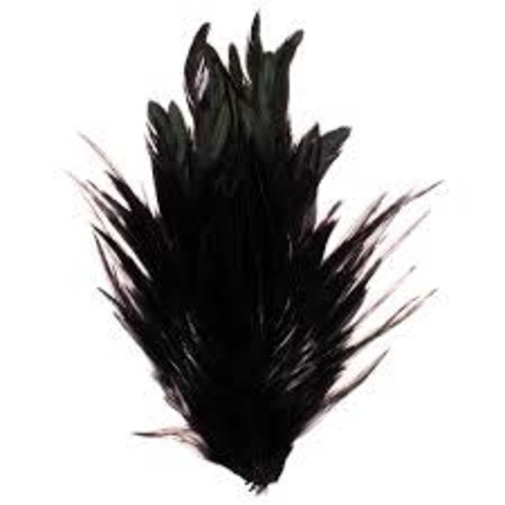 HOOK & HACKLE HH INDIAN ROOSTER SADDLE PATCH BLACK