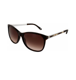 BRIGHTON Spectrum Tortoise Sunglasses