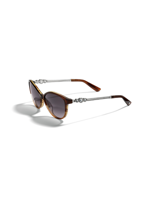 brighton spectrum sunglasses