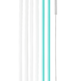 SWIG Clear & Aqua Resable Straw Set (Tall)