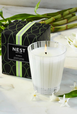 NEST Bamboo Candle 8.1 oz