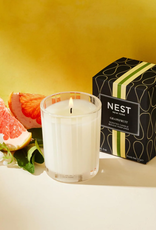 NEST Grapefruit Candle 8.1 oz