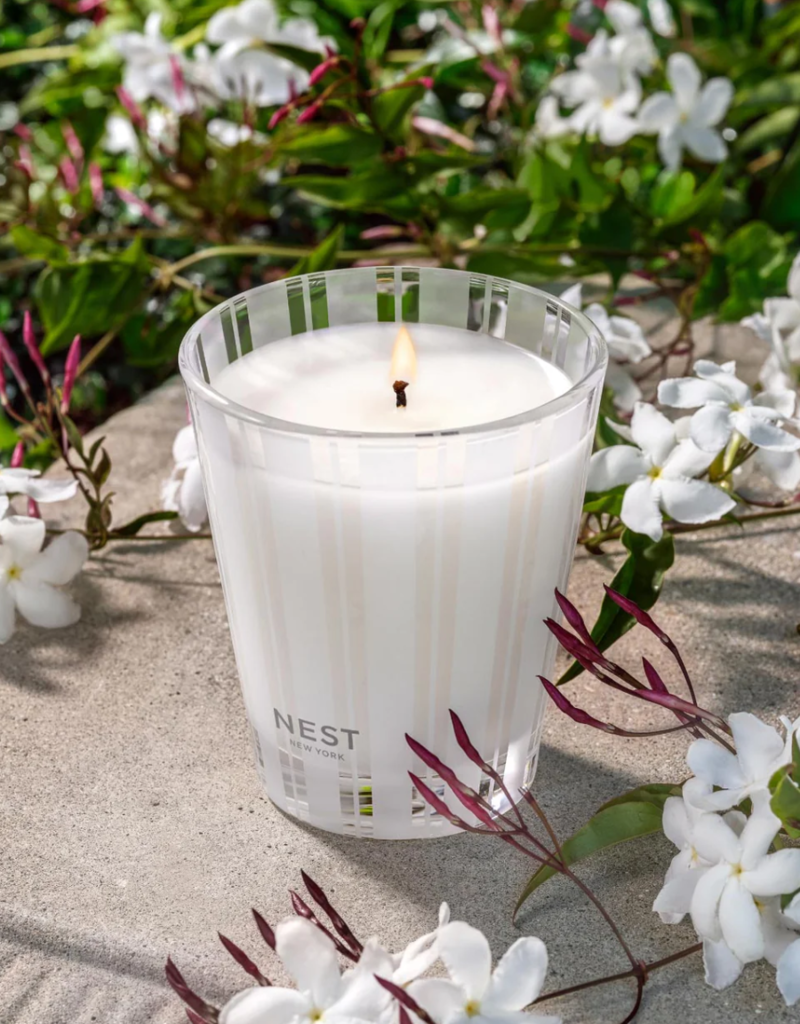 NEST Indian Jasmine Candle 8.1 oz