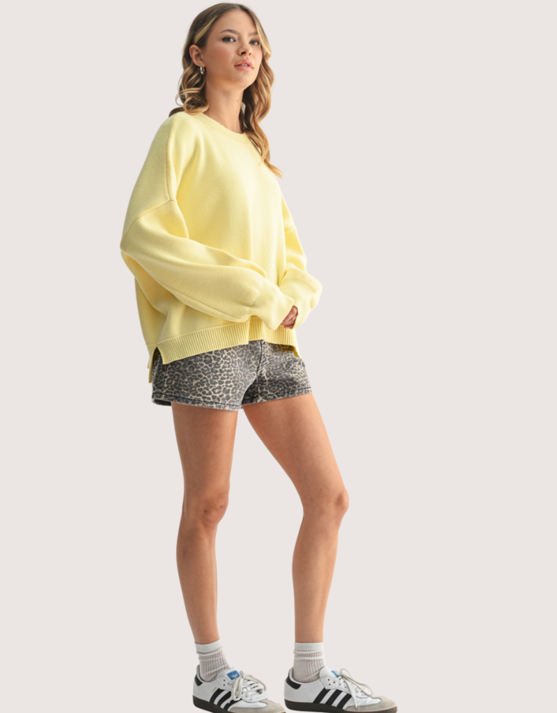 WISHLIST Pull Over Long Sleeve Sweater