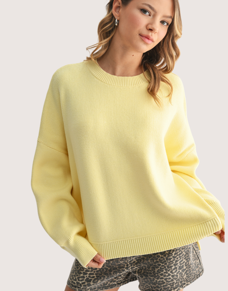 WISHLIST Pull Over Long Sleeve Sweater