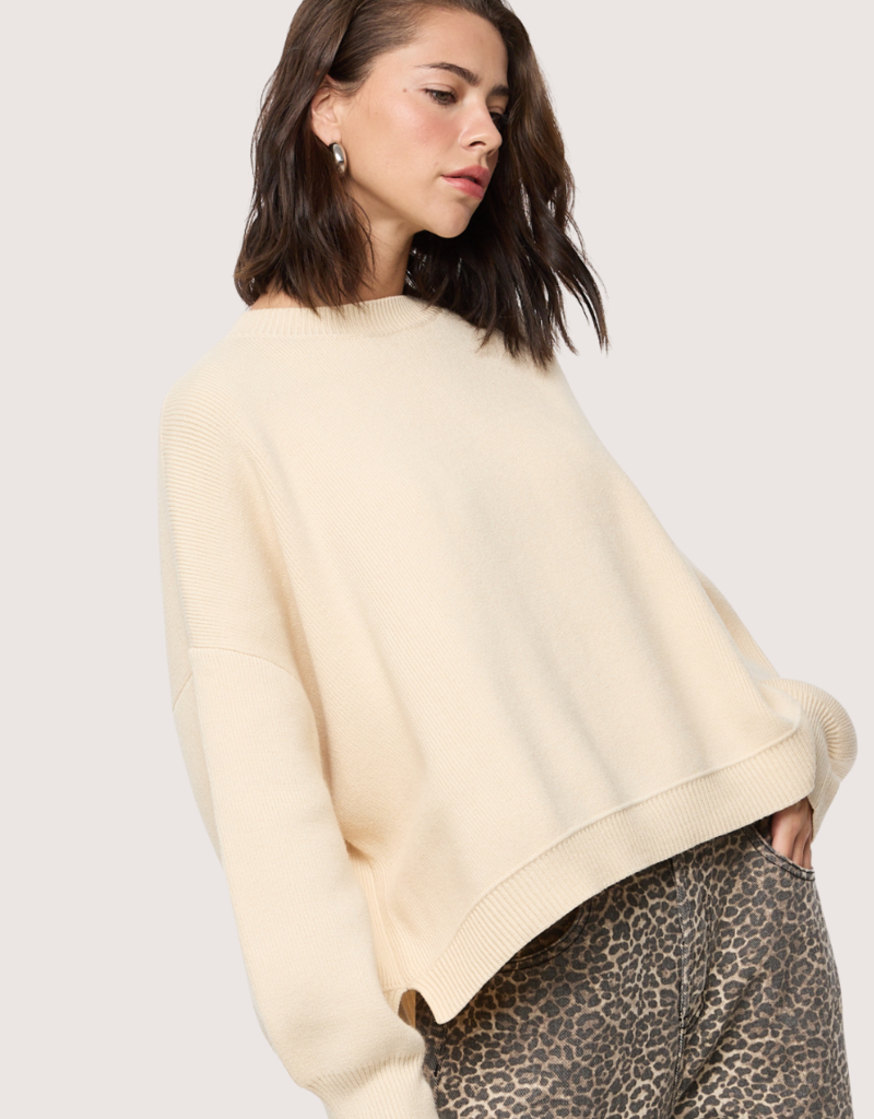 WISHLIST Pull Over Long Sleeve Sweater