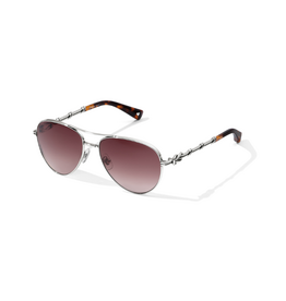 BRIGHTON Interlok Harmony Sunglasses