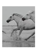 R. Rebellion White Horse Perfume 50 ml