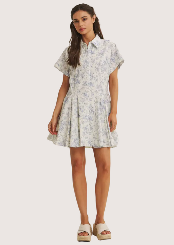 IN FEBRUARY French Garden Toile Button Down Mini Dress Seashell Blue