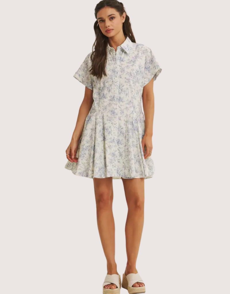 IN FEBRUARY French Garden Toile Button Down Mini Dress Seashell Blue