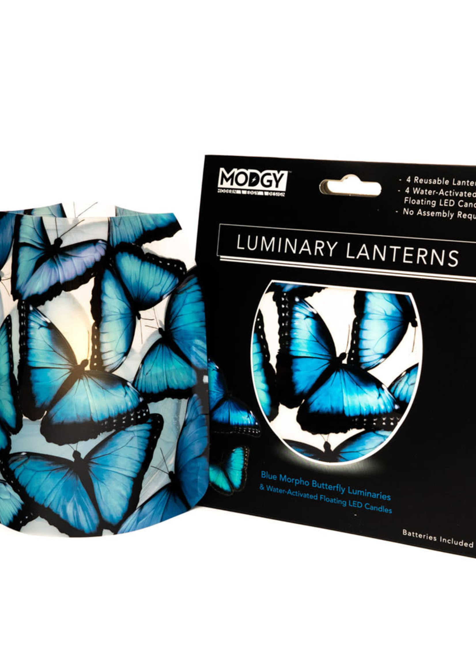 Modgy Morpho Luminary Set