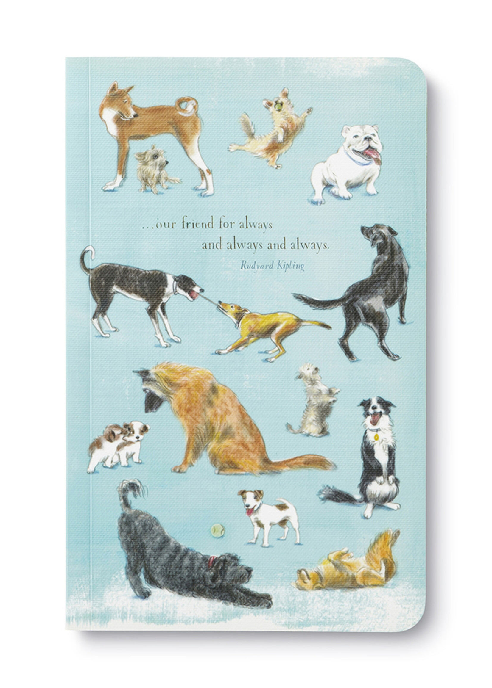 Compendium Our Friend For Always Journal