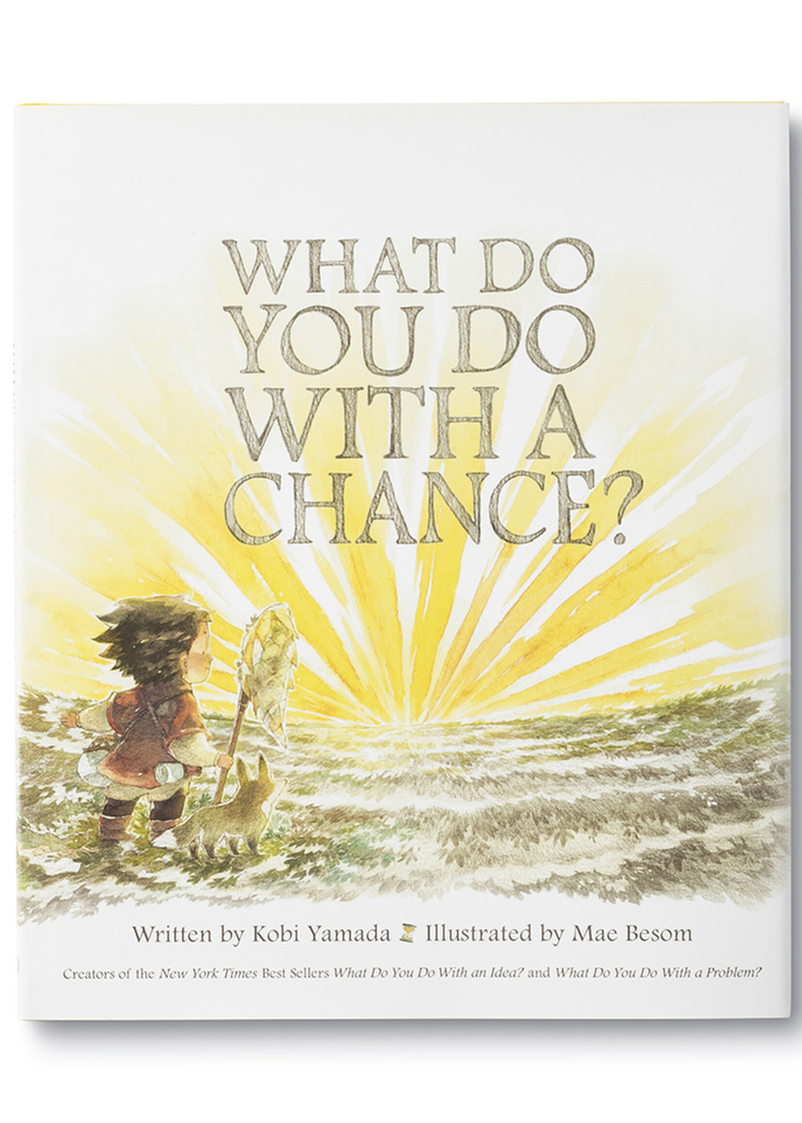 Compendium What Do You Do With A Chance