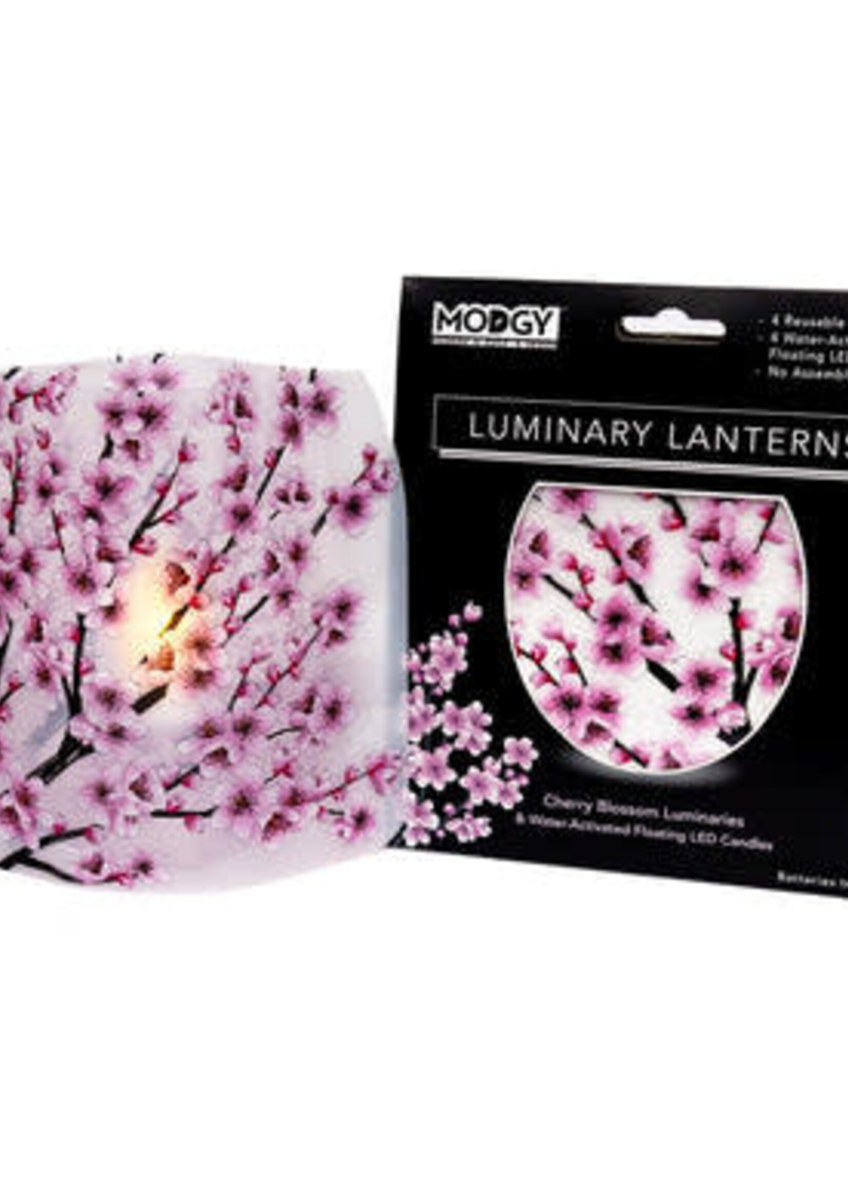 Modgy Cherry Blossom Luminary Set