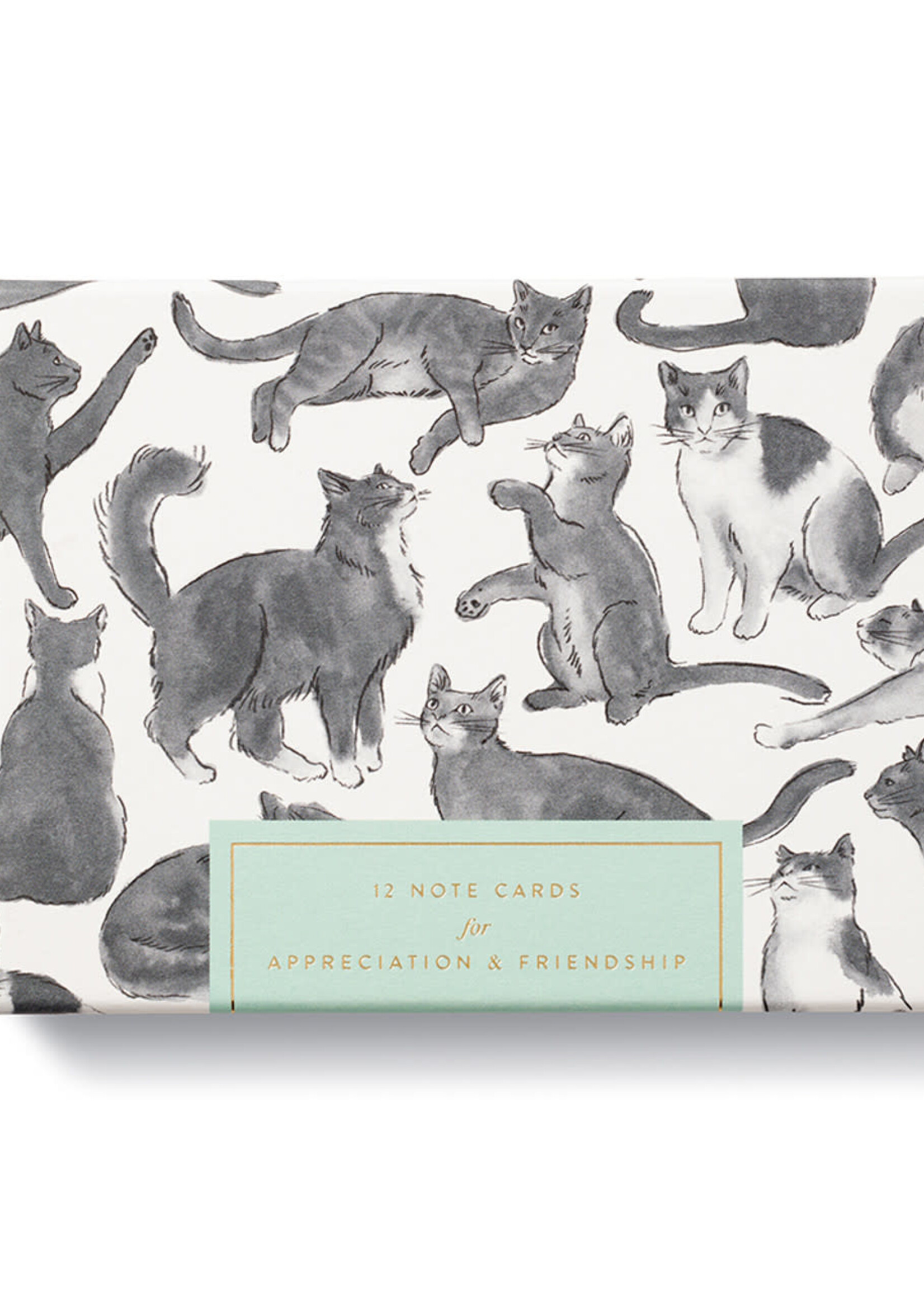 Compendium Notecard Set (Cat)