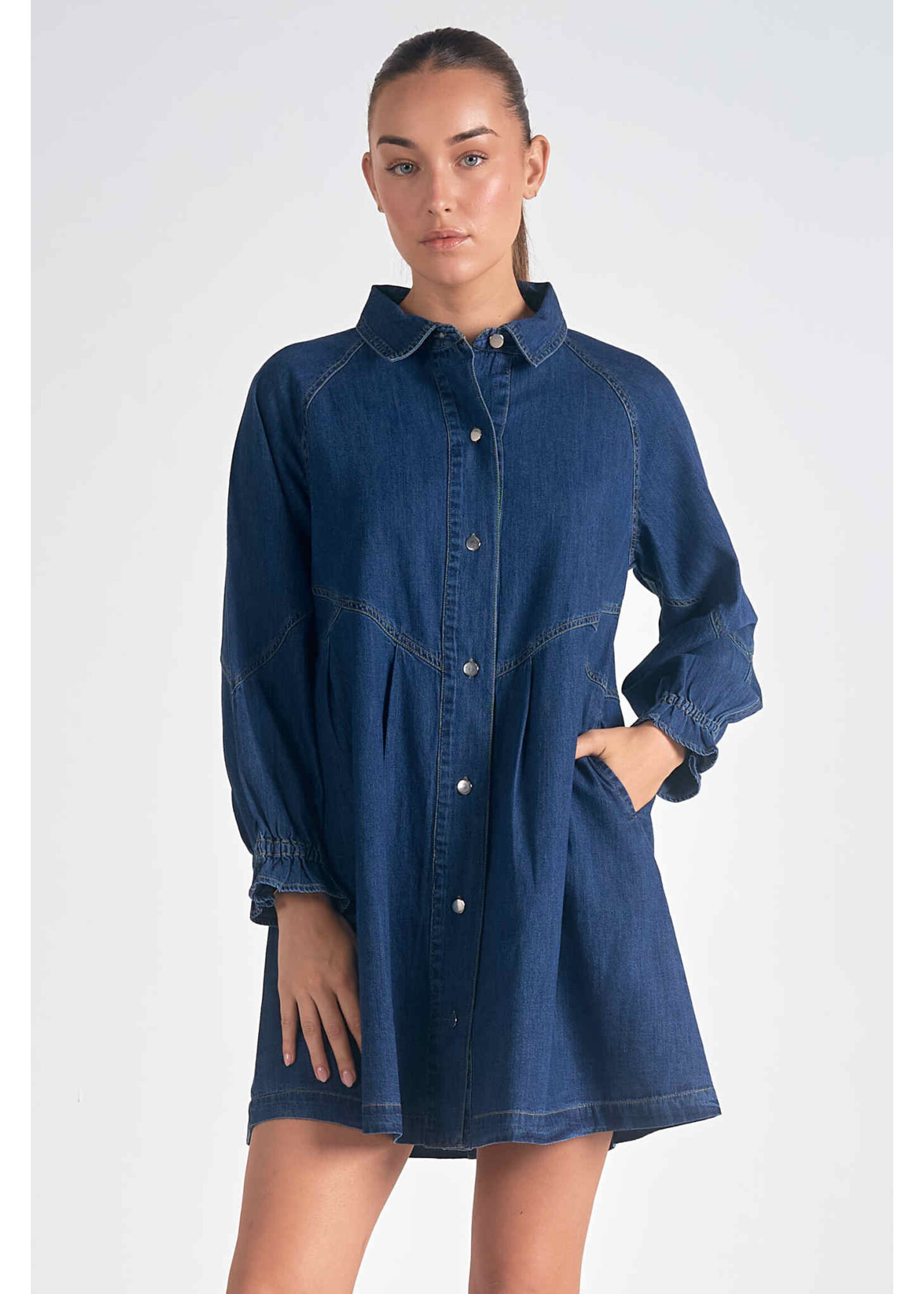 Elan Long Sleeve Button Down Dress (