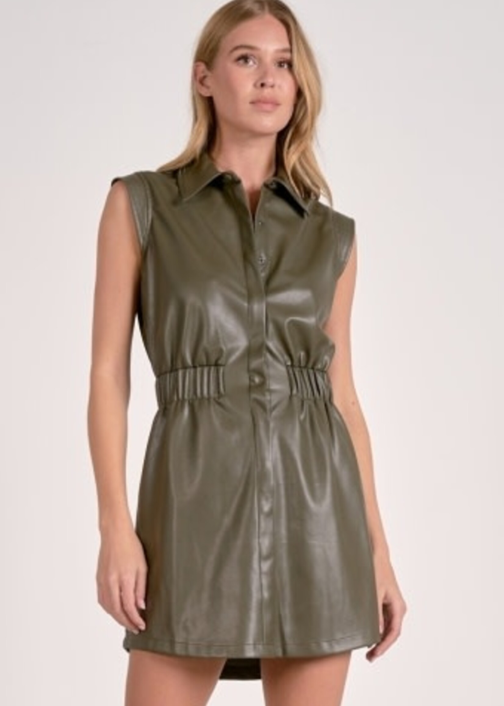Elan Sleeveless Faux Leather Dress (Pine)