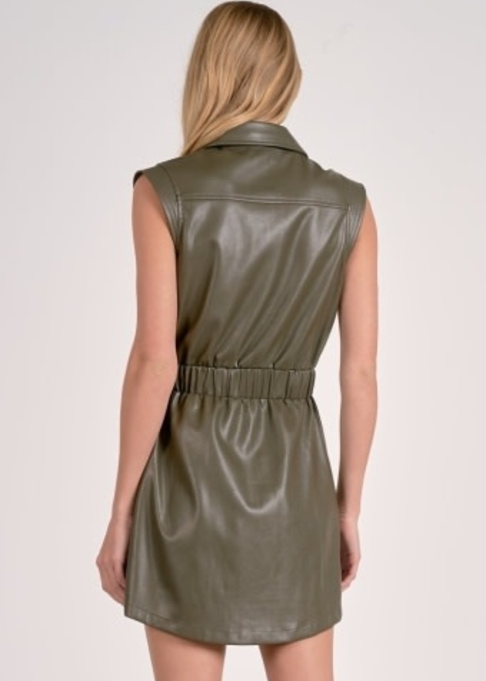 Elan Sleeveless Faux Leather Dress (Pine)