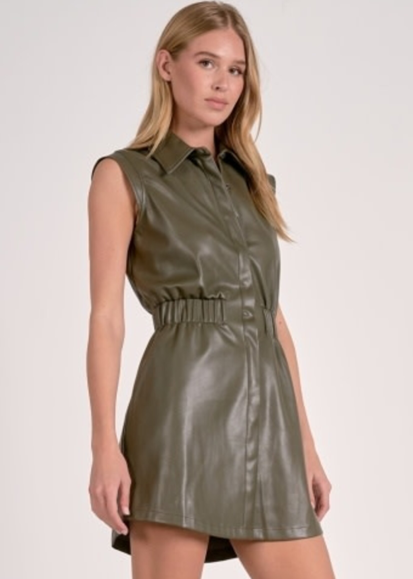 Elan Sleeveless Faux Leather Dress (Pine)