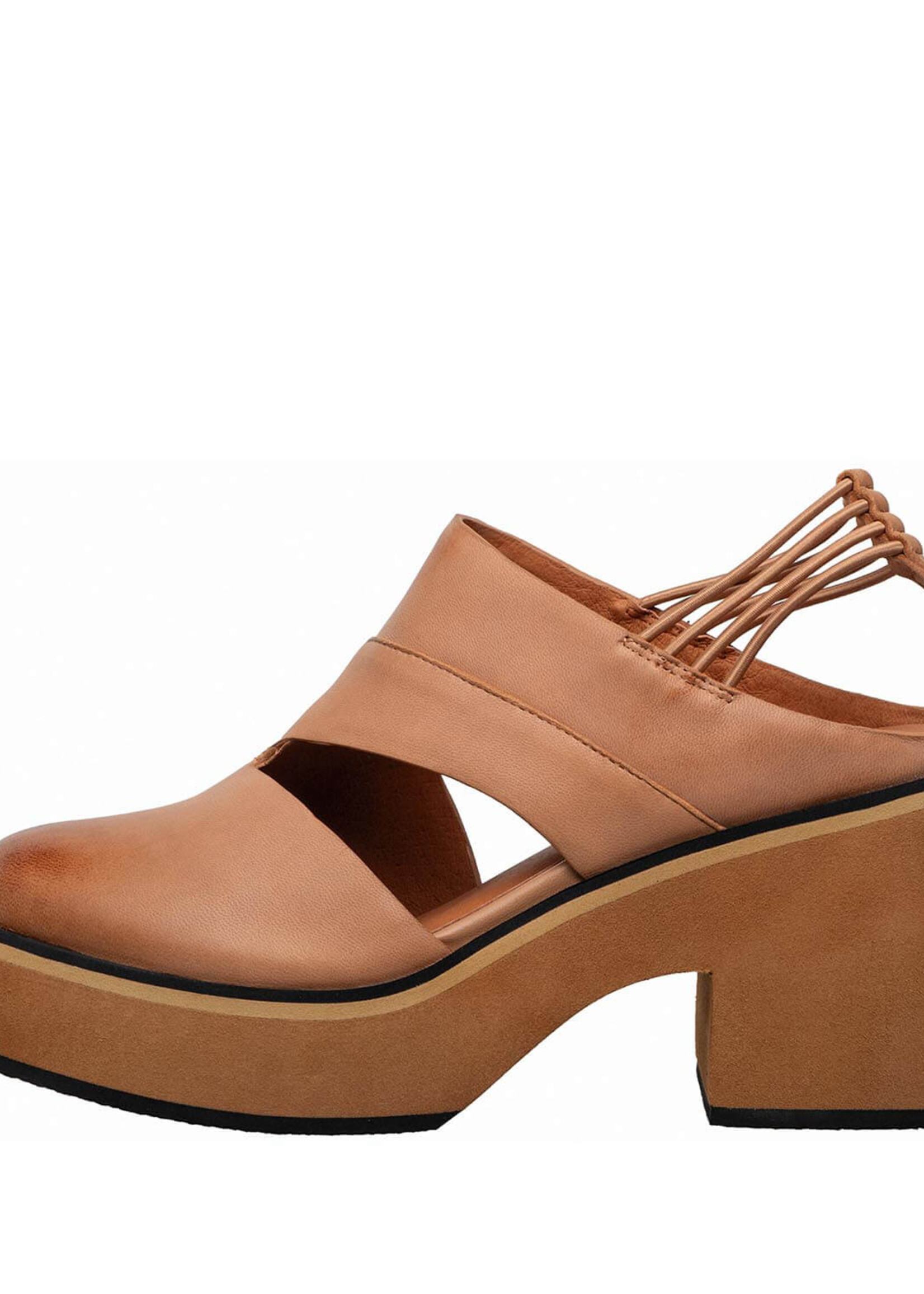 Antelope Isadora (Camel)