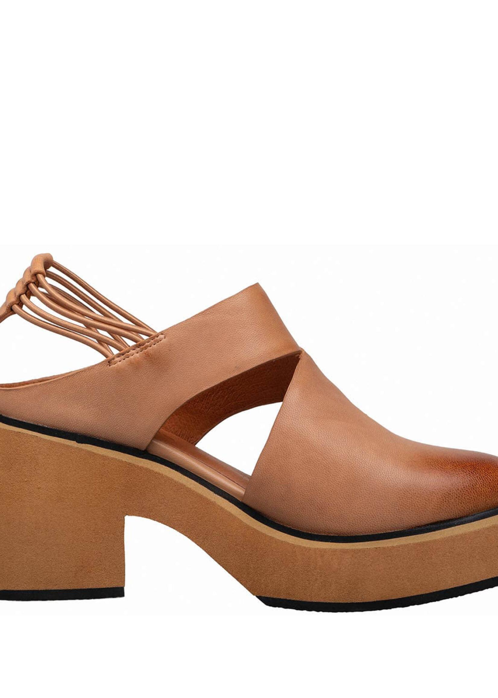 Antelope Isadora (Camel)