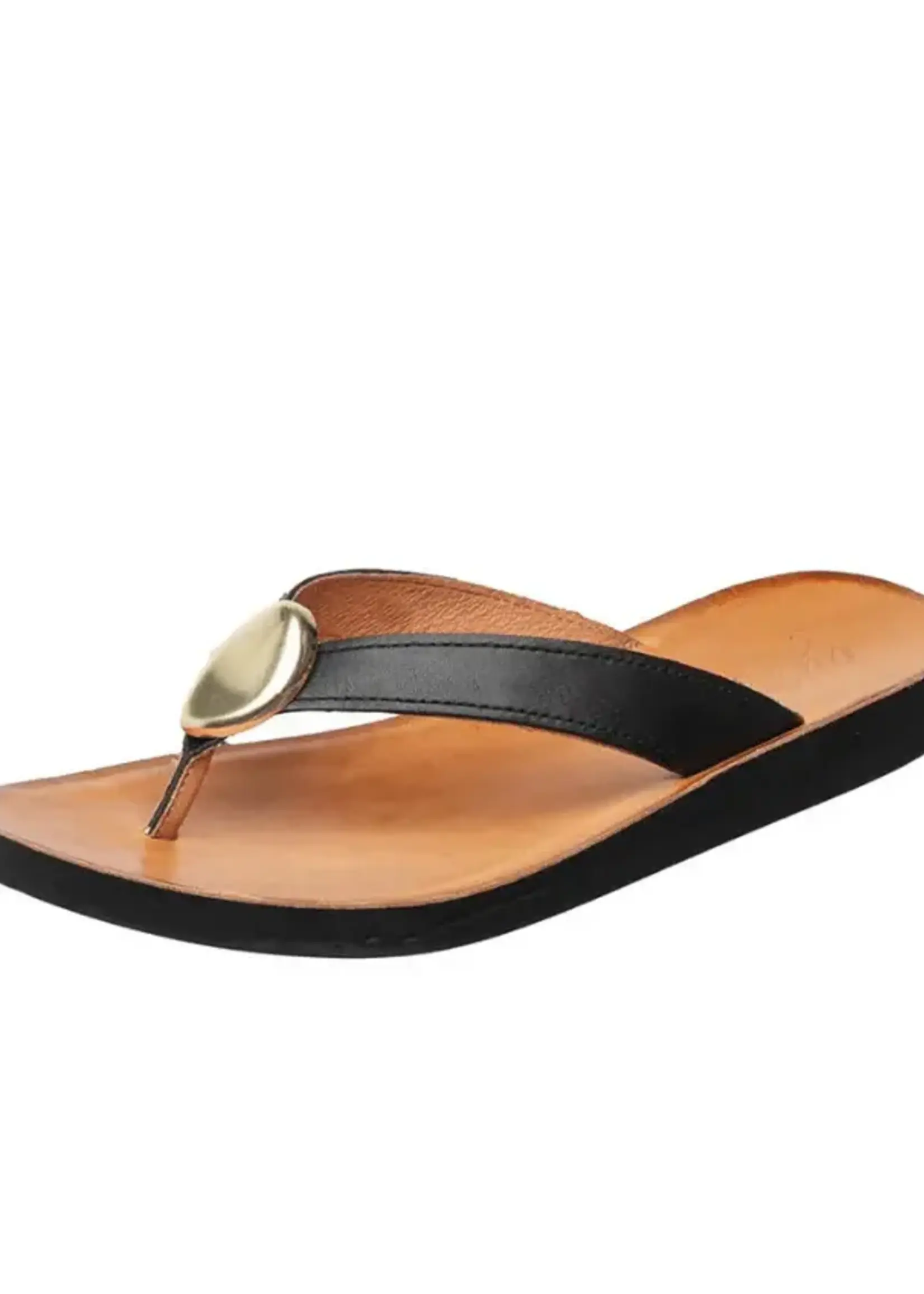 Antelope Addison (Black)