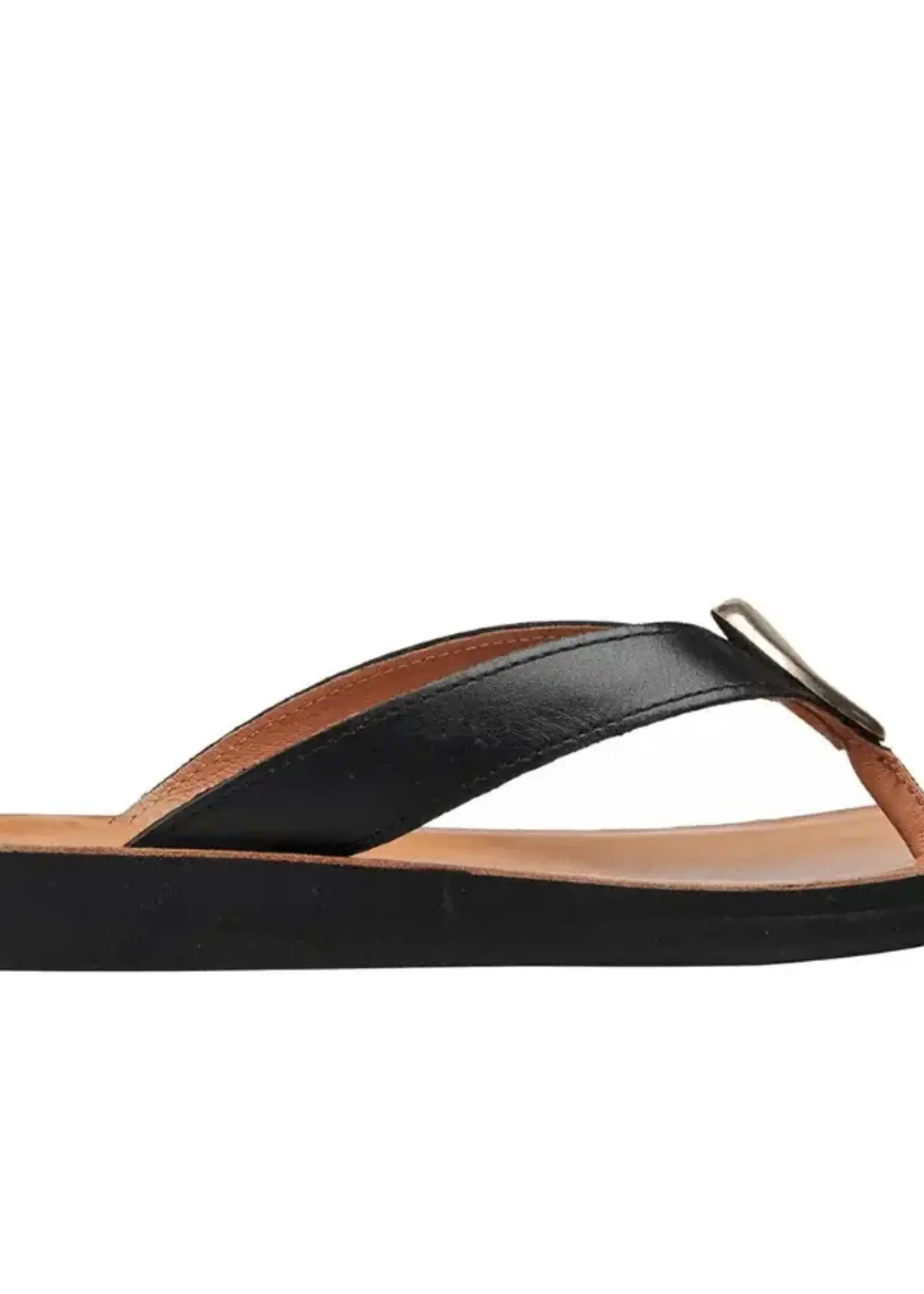 Antelope Addison (Black)