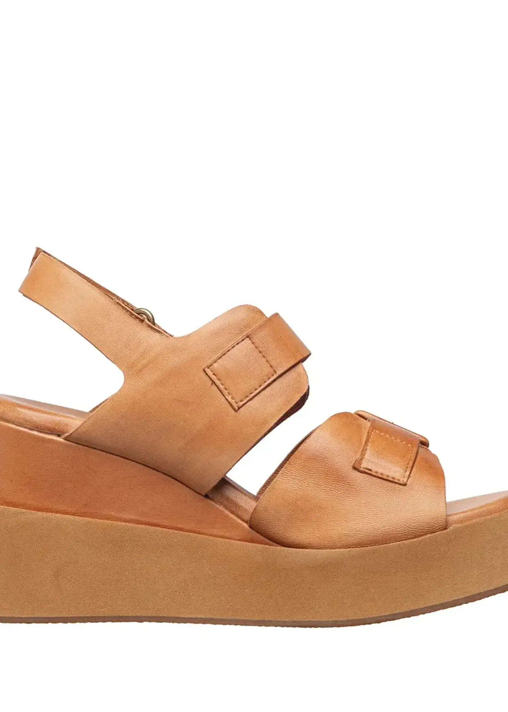 Antelope Georgia (Tan)