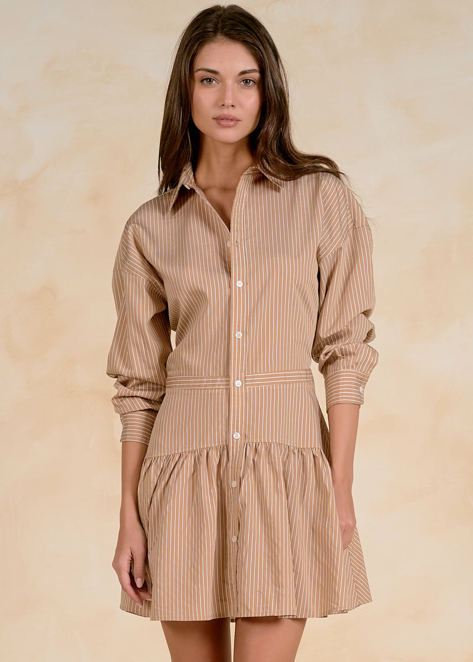 Elan Button Down Dress (Tan)