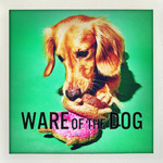 Ware of the Dog