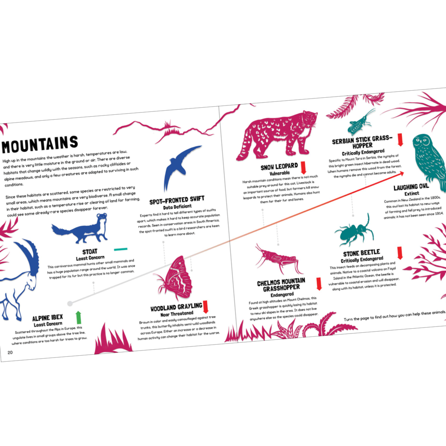 Endangered Animals: And How You Can Help - Lucky Wang nyc Endangered Animals: And How You Can Help - Lucky Wang nyc
