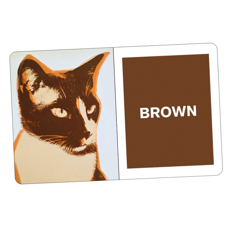 What Colors Do You See?  Andy Warhol