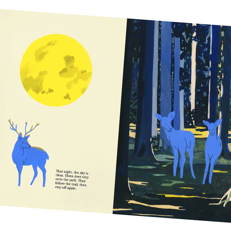 Little Gestalten The Path