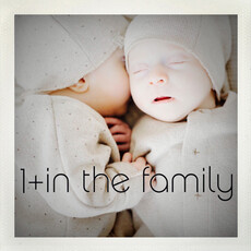 1+ in the family