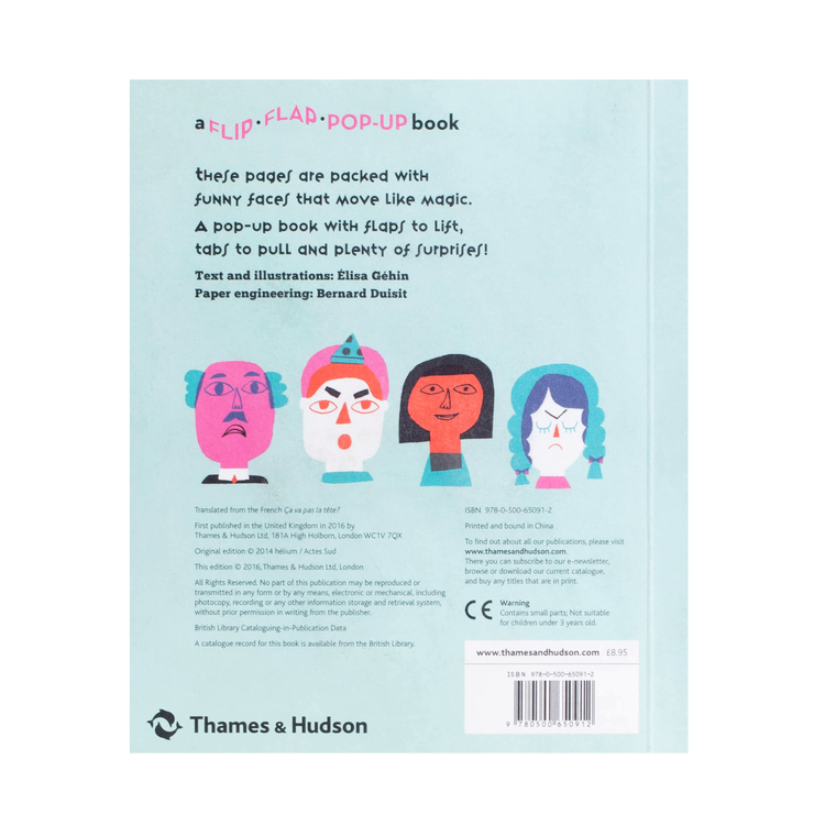 Thames & Hudson Can You Keep a Straight Face?