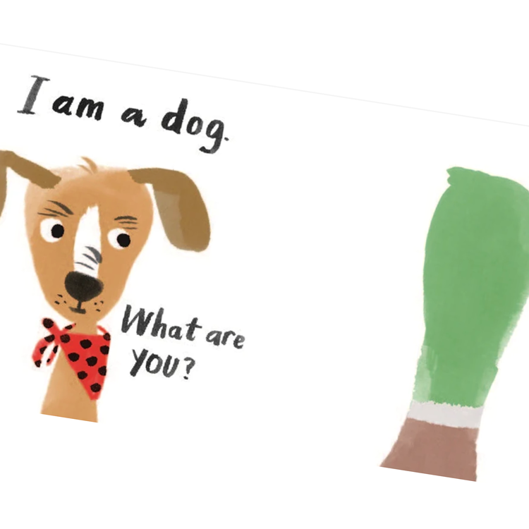 Laurence King Let's Look at... Animals