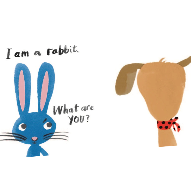 Laurence King Let's Look at... Animals