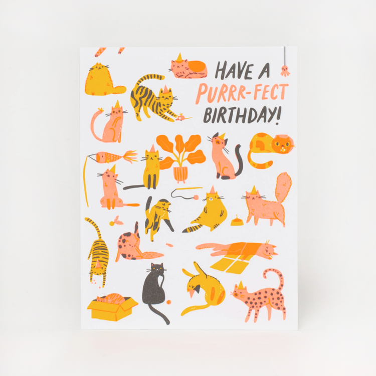 Hello Lucky! Purr-fect Birthday