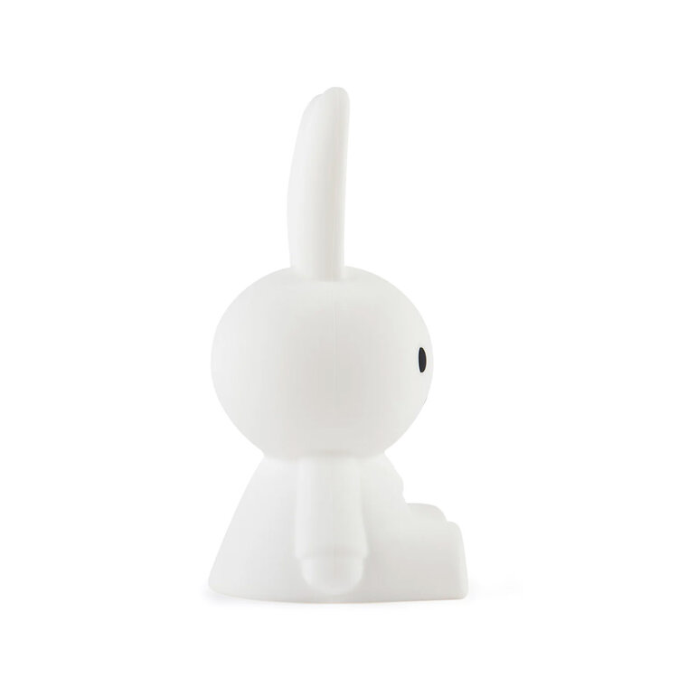 Mr. Maria Miffy Bundle of Light (S)
